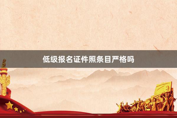 低级报名证件照条目严格吗